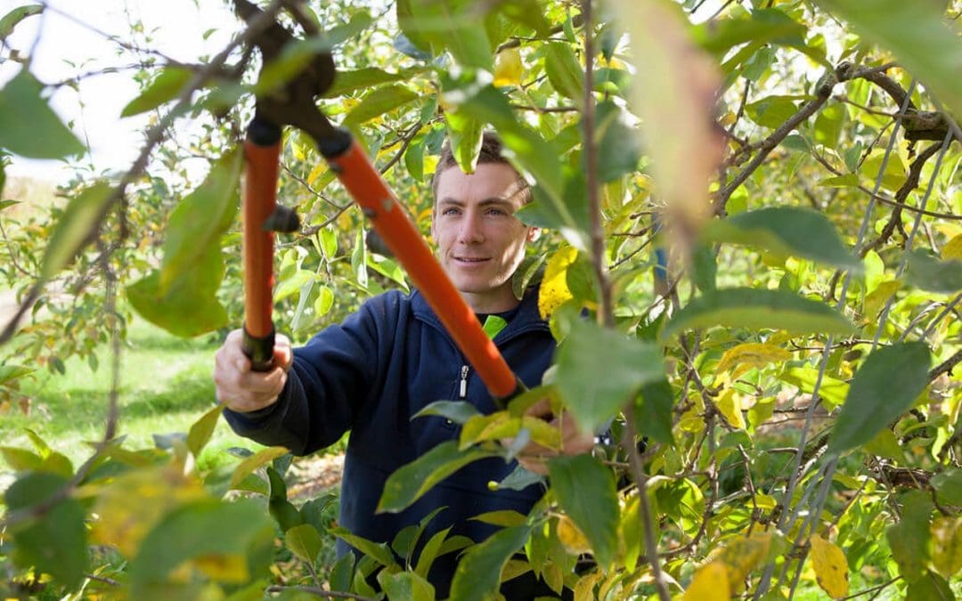 8 Outdoor Spring Cleaning and Maintenance Tasks